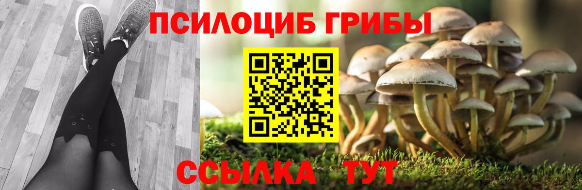 Псилоцибиновые грибы Magic Shrooms Южноуральск