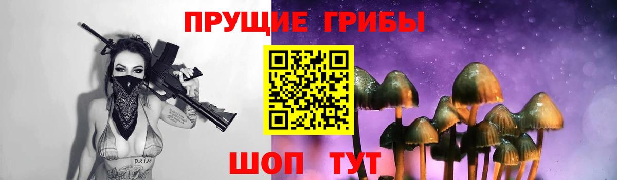 где продают   Галлюциногенные грибы Cubensis  Вход с VPN  Южноуральск 
